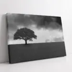 Siyah Beyaz Tek Ağaç | Kanvas Tablo | Cam Tablo | Mdf Tablo | A20248