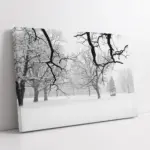 Karlar Altında Kalmış Orman | Kanvas Tablo | Cam Tablo | Mdf Tablo | A20250