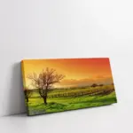 Kızıl Gökyüzü Ve Yeşil Doğa | Kanvas Tablo | Cam Tablo | Mdf Tablo | A20252