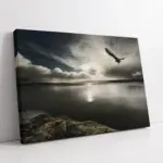 Gece Vakti Gökyüzünde Kartal | Kanvas Tablo | Cam Tablo | Mdf Tablo | A20288