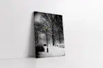 Karlar Altında Kalmış Park | Kanvas Tablo | Cam Tablo | Mdf Tablo | A20304