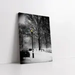 Karlar Altında Kalmış Park | Kanvas Tablo | Cam Tablo | Mdf Tablo | A20304