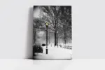 Karlar Altında Kalmış Park | Kanvas Tablo | Cam Tablo | Mdf Tablo | A20304 - Görsel 2