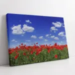 Kırmızı Gelincik | Kanvas Tablo | Cam Tablo | Mdf Tablo | A20321