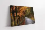 Sonbahar Ağaçları Arasında Boş Yol | Kanvas Tablo | Cam Tablo | Mdf Tablo | A20333