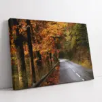 Sonbahar Ağaçları Arasında Boş Yol | Kanvas Tablo | Cam Tablo | Mdf Tablo | A20333