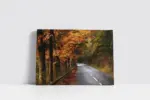 Sonbahar Ağaçları Arasında Boş Yol | Kanvas Tablo | Cam Tablo | Mdf Tablo | A20333 - Görsel 2