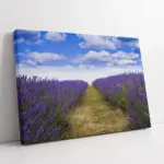 Mor Leylak | Kanvas Tablo | Cam Tablo | Mdf Tablo | A20392