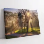 Orman | Kanvas Tablo | Cam Tablo | Mdf Tablo | A20394