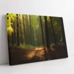 Orman | Kanvas Tablo | Cam Tablo | Mdf Tablo | A20406