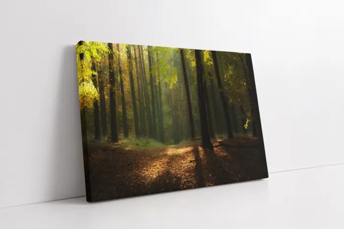 Orman | Kanvas Tablo | Cam Tablo | Mdf Tablo | A20406 - Görsel 1