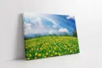 Yemyeşil Ayçiçek Tarlası | Kanvas Tablo | Cam Tablo | Mdf Tablo | A20431