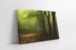 Sisli Orman | Kanvas Tablo | Cam Tablo | Mdf Tablo | A20446