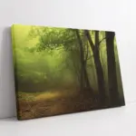 Sisli Orman | Kanvas Tablo | Cam Tablo | Mdf Tablo | A20446