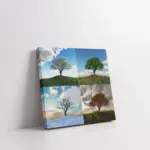 Tek Ağaç 4 Mevsim Kolaj | Kanvas Tablo | Cam Tablo | Mdf Tablo | A20559