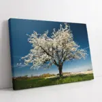 Beyaz Gelincikli Ağaç | Kanvas Tablo | Cam Tablo | Mdf Tablo | A20570