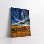 Tek Ağaç Ve Kurumuş Ot | Kanvas Tablo | Cam Tablo | Mdf Tablo | A20581