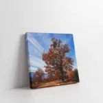 Çiçek Açmış Ağaç | Kanvas Tablo | Cam Tablo | Mdf Tablo | A20625