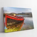 Yosunlara Saplanmış Sandal | Kanvas Tablo | Cam Tablo | Mdf Tablo | A20626