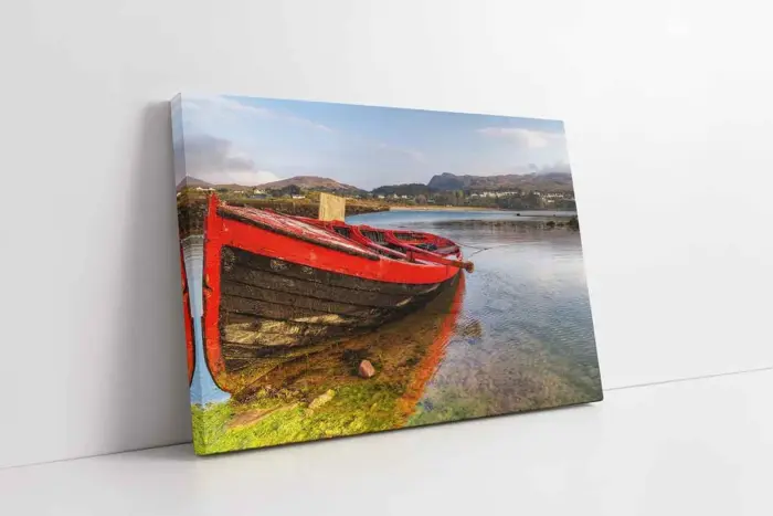 Yosunlara Saplanmış Sandal | Kanvas Tablo | Cam Tablo | Mdf Tablo | A20626 - Görsel 1