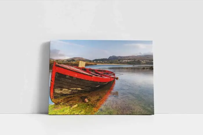 Yosunlara Saplanmış Sandal | Kanvas Tablo | Cam Tablo | Mdf Tablo | A20626 - Görsel 2