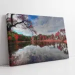 Kırmızıya Bürünmüş Ağaç | Kanvas Tablo | Cam Tablo | Mdf Tablo | A20630