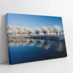 Gelinciklerle Donanmış Doğa | Kanvas Tablo | Cam Tablo | Mdf Tablo | A20636