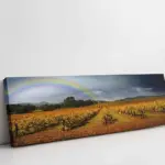Gökkuşağı Ve Tarla | Kanvas Tablo | Cam Tablo | Mdf Tablo | A20645