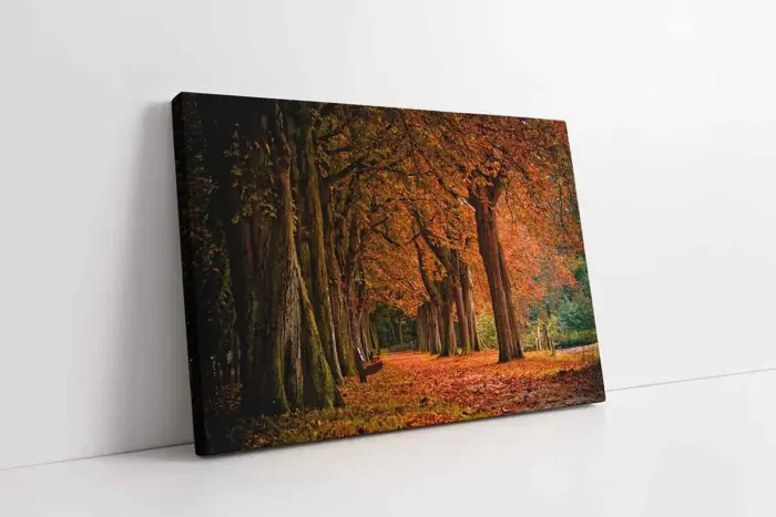 Park | Kanvas Tablo | Cam Tablo | Mdf Tablo | A20650 - Görsel 1