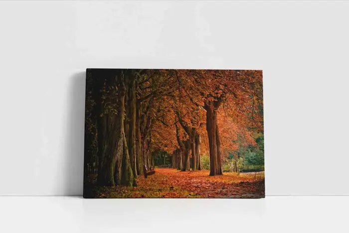 Park | Kanvas Tablo | Cam Tablo | Mdf Tablo | A20650 - Görsel 2