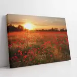 Gün Batımı Eşliğinde Kırmızı Lale | Kanvas Tablo | Cam Tablo | Mdf Tablo | A20696