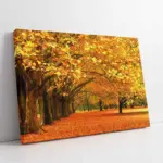 Sonbahar Ağaç | Kanvas Tablo | Cam Tablo | Mdf Tablo | A20823
