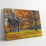 Sonbahar | Kanvas Tablo | Cam Tablo | Mdf Tablo | A20860