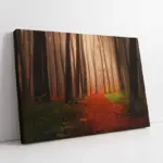 Orman | Kanvas Tablo | Cam Tablo | Mdf Tablo | A20879