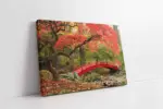 Ormanda Kırmızı Köprü | Kanvas Tablo | Cam Tablo | Mdf Tablo | A20882