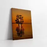 Günbatımında Ağaç | Kanvas Tablo | Cam Tablo | Mdf Tablo | A20900