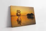 Günbatımında Ağaç | Kanvas Tablo | Cam Tablo | Mdf Tablo | A20901