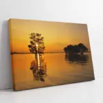 Günbatımında Ağaç | Kanvas Tablo | Cam Tablo | Mdf Tablo | A20901
