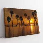 Günbatımında Ağaçlar | Kanvas Tablo | Cam Tablo | Mdf Tablo | A20904