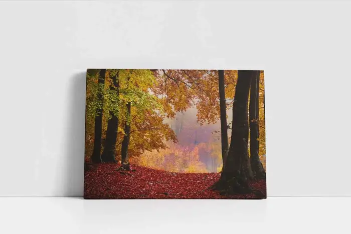 Orman | Kanvas Tablo | Cam Tablo | Mdf Tablo | A20956 - Görsel 2