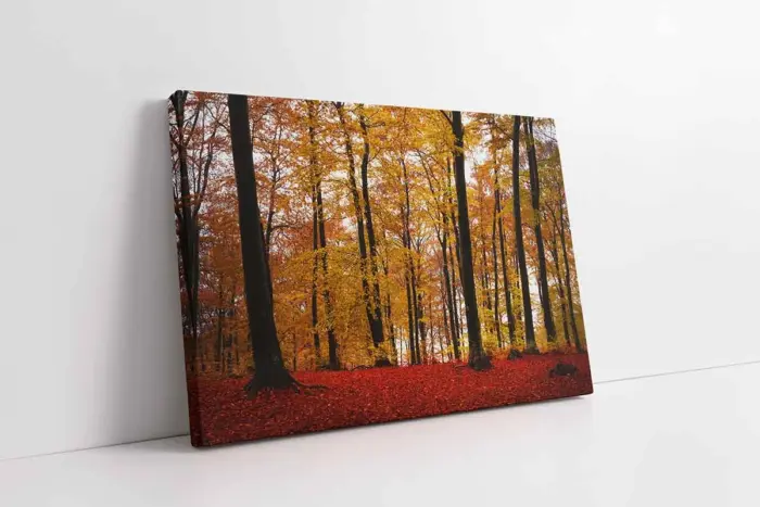 Orman | Kanvas Tablo | Cam Tablo | Mdf Tablo | A20957 - Görsel 1