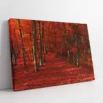 Kırmızı Orman | Kanvas Tablo | Cam Tablo | Mdf Tablo | A20958