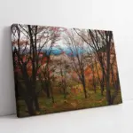 Orman | Kanvas Tablo | Cam Tablo | Mdf Tablo | A20985