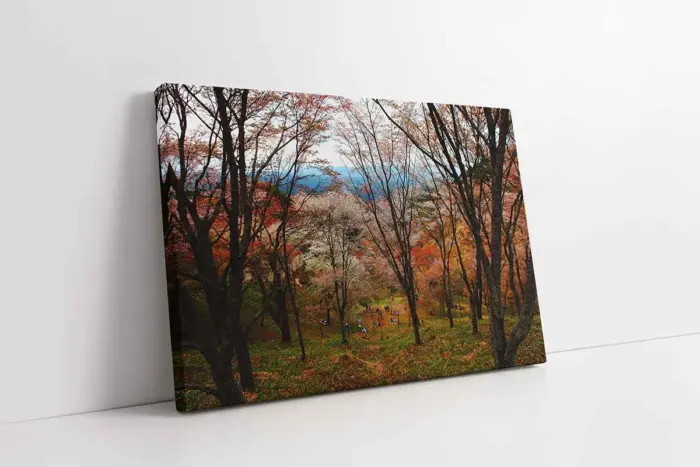 Orman | Kanvas Tablo | Cam Tablo | Mdf Tablo | A20985 - Görsel 1