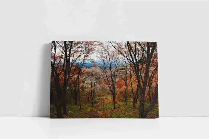 Orman | Kanvas Tablo | Cam Tablo | Mdf Tablo | A20985 - Görsel 2