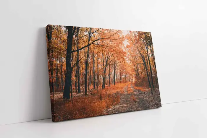 Orman | Kanvas Tablo | Cam Tablo | Mdf Tablo | A20987 - Görsel 1