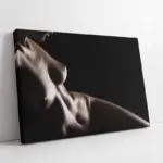 Sanatsal Kadın | Kanvas Tablo | Cam Tablo | Mdf Tablo | A22006