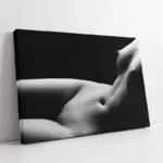 Sanatsal Estetik Kadın | Kanvas Tablo | Cam Tablo | Mdf Tablo | A22019