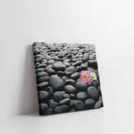 Taş | Kanvas Tablo | Cam Tablo | Mdf Tablo | A23023