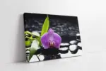 Spa Taşları Ve Orkide | Kanvas Tablo | Cam Tablo | Mdf Tablo | A23158